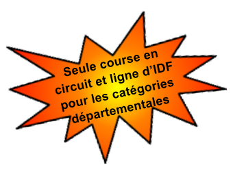 Seule course en circuit et ligne dIDF pour les catgories dpartementales